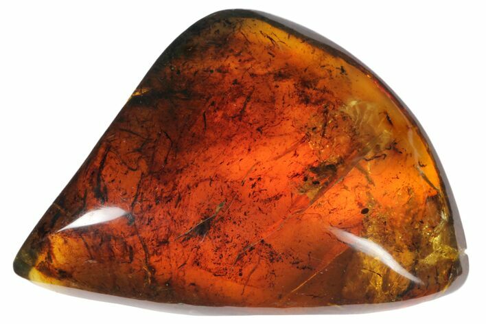 Polished Chiapas Amber ( g) - Mexico #114846
